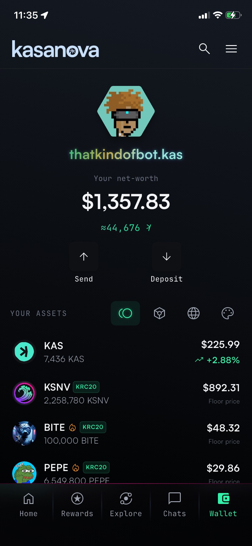 Kasanova wallet assets